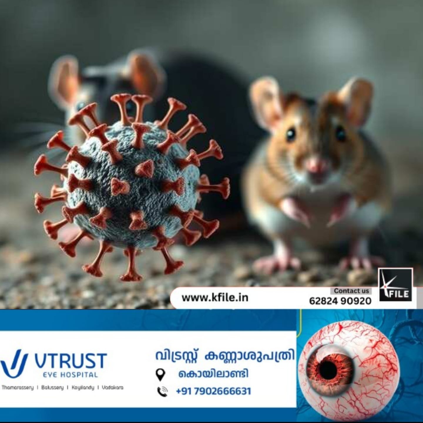 ഹാന്റാ വൈറസ് ആഗോളതലത്തിൽ ജാഗ്രതാ നിർദ്ദേശം നൽകി ലോകാരോഗ്യ സംഘടന