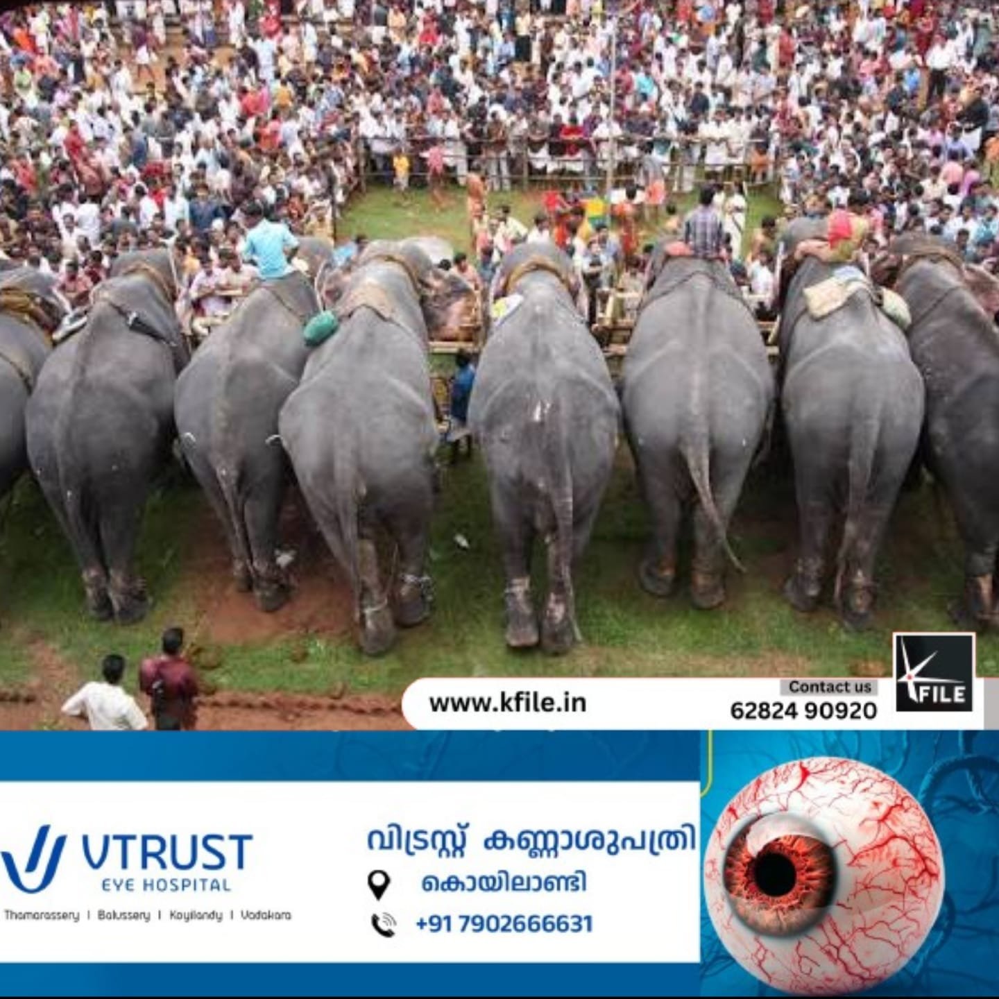 കർക്കിടകം ഒന്നിന്റെ ഭാഗമായി വടക്കുംനാഥ ക്ഷേത്ര നടയിൽ ആനയൂആനയൂട്ട് നടക്കും