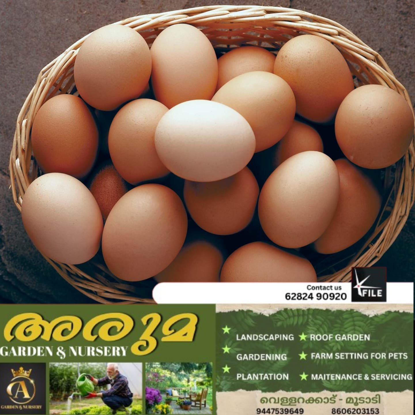 പഞ്ചസാരയ്ക്ക് പിന്നാലെ വിപണിയിൽ കോഴിമുട്ടയ്ക്കും വില കുതിക്കുന്നു