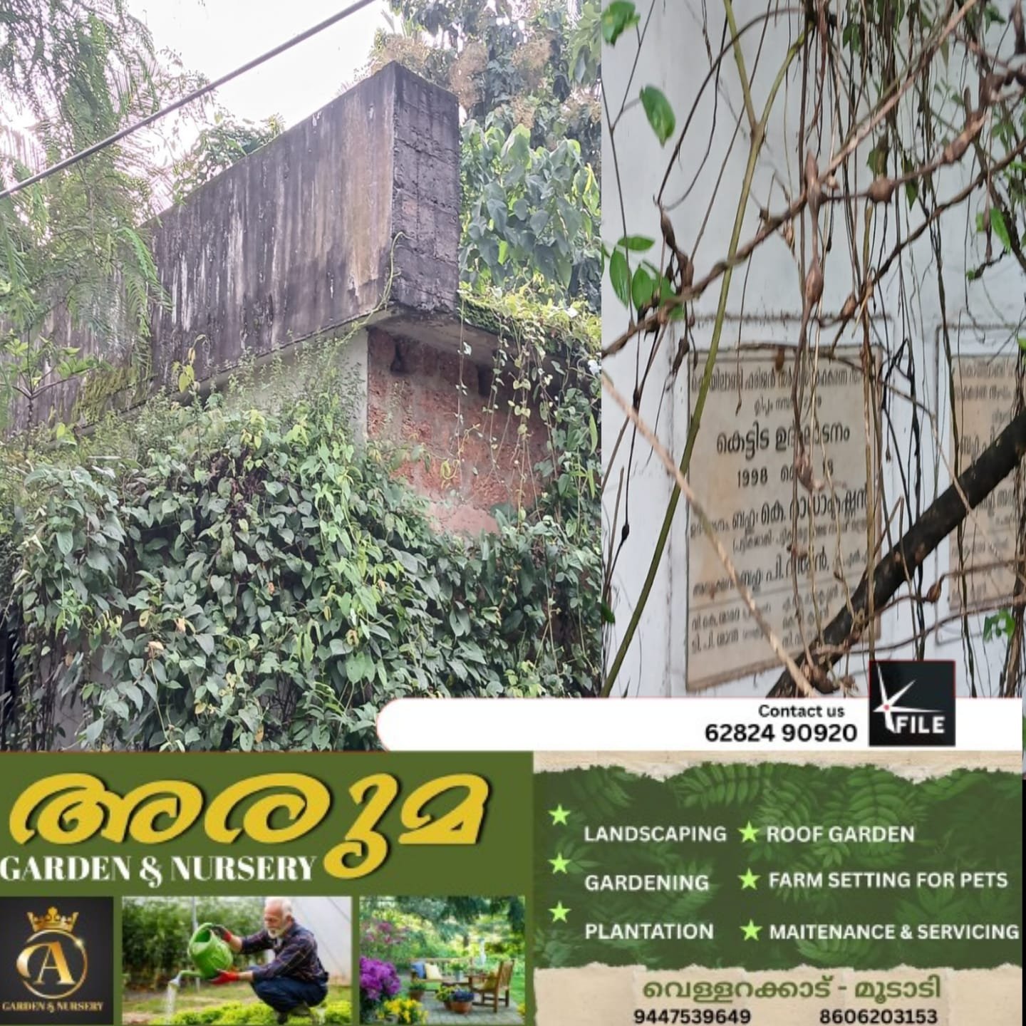 ഉപകാരമില്ലാതെ കാടുമൂടിക്കിടക്കുന്ന സർക്കാർ കെട്ടിടം; അധികൃതരുടെ ശ്രദ്ധ വേണം ഉപകാരമില്ലാതെ കാടുമൂടിക്കിടക്കുന്ന സർക്കാർ കെട്ടിടം; അധികൃതരുടെ ശ്രദ്ധ വേണം