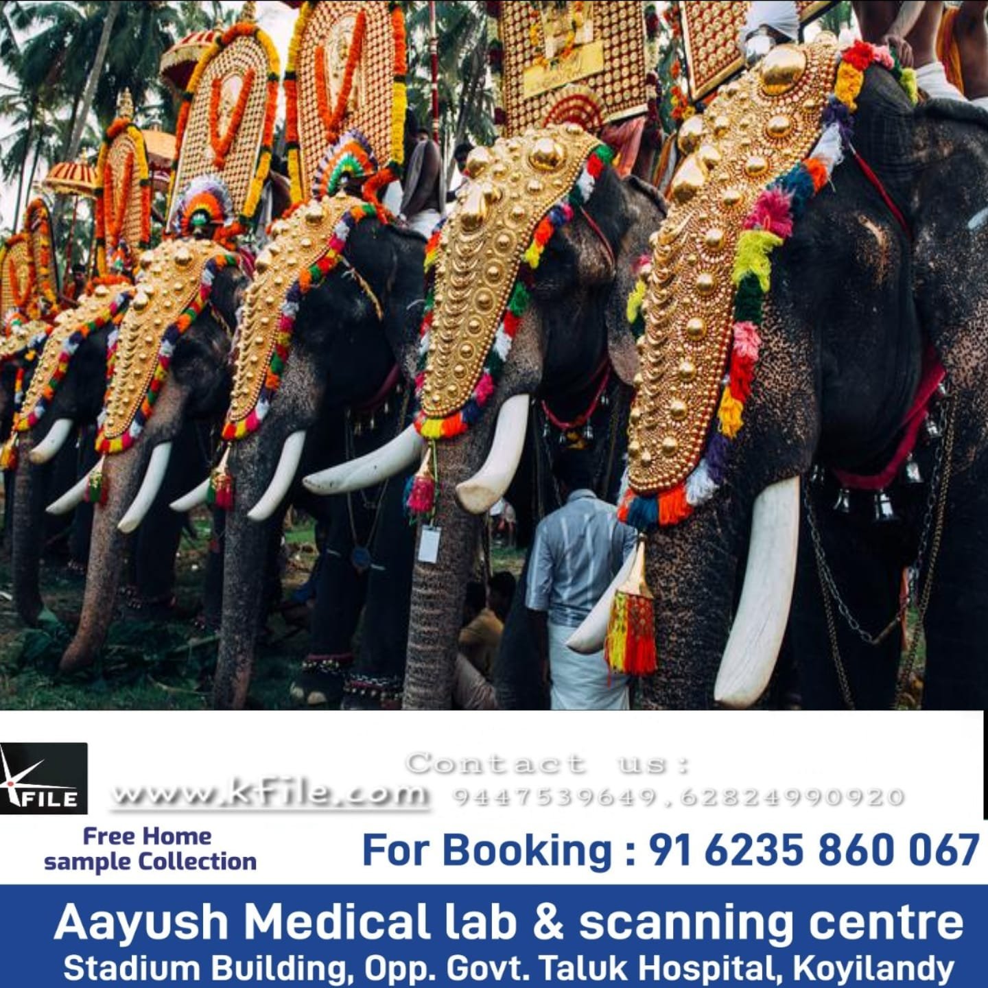 ക്ഷേത്രങ്ങളിൽഎഴുന്നള്ളിപ്പിന് എത്തിക്കുന്ന ആനകളെ ദൈവതുല്യരായി കണ്ടു സംരക്ഷിക്കുകയും ആദരിക്കുകയും വേണമെന്ന് സുപ്രീം കോടതി ക്ഷേത്രങ്ങളിൽഎഴുന്നള്ളിപ്പിന് എത്തിക്കുന്ന ആനകളെ ദൈവതുല്യരായി കണ്ടു സംരക്ഷിക്കുകയും ആദരിക്കുകയും വേണമെന്ന് സുപ്രീം കോടതി