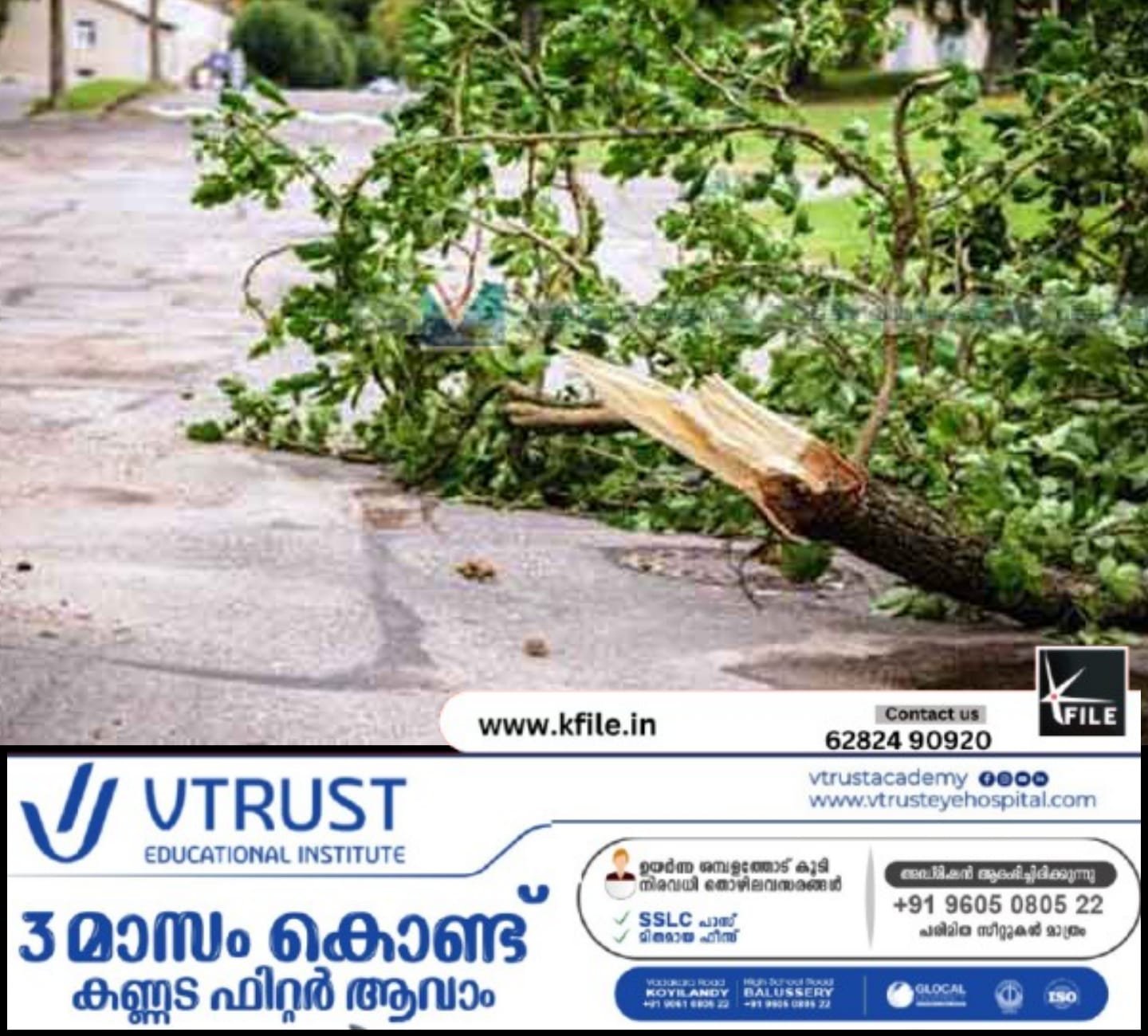 പിഷാരികാവിൽ മരക്കൊമ്പ് പൊട്ടിവീണ് എട്ടുവയസുകാരന് പരിക്ക്